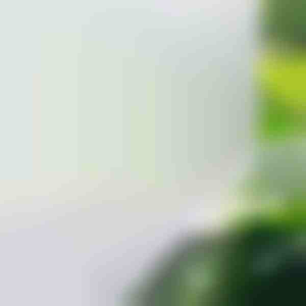 Okenní Fólie Privátní Fólie Sklo Samolepící | WINDOWFILM