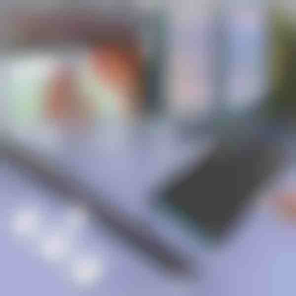 Sluneční clona do auta a na okno | SUNGUARD