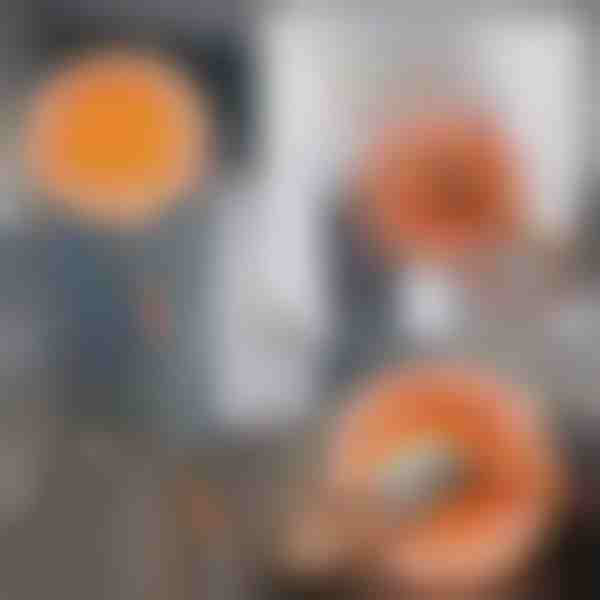 360 stupňů otočný a nastavitelný čisticí mop | CORALMOP