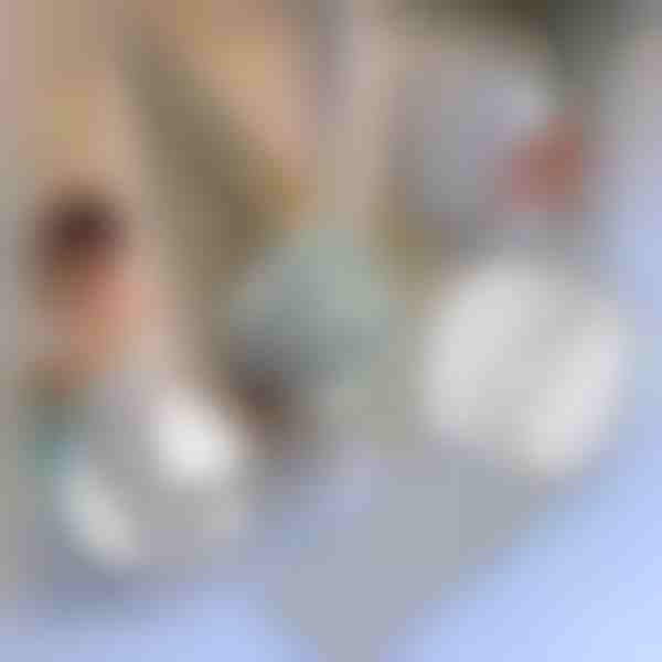 Opravná páska na moskytiéry | INSECTAPE