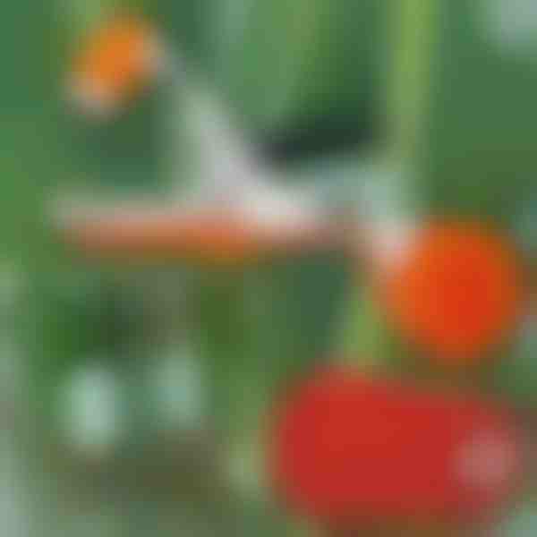 Profesionální sešívačka rostlin | PLANTBRAND