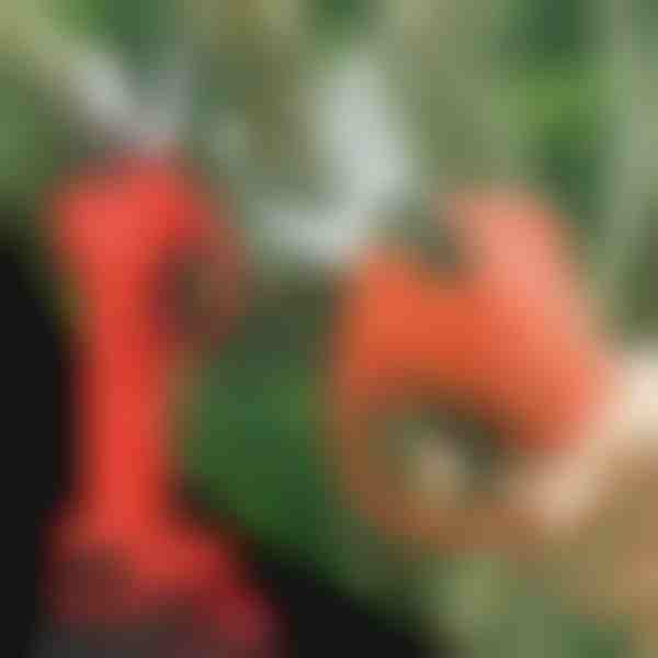 Elektrické nůžky | WHIZZPRUNER