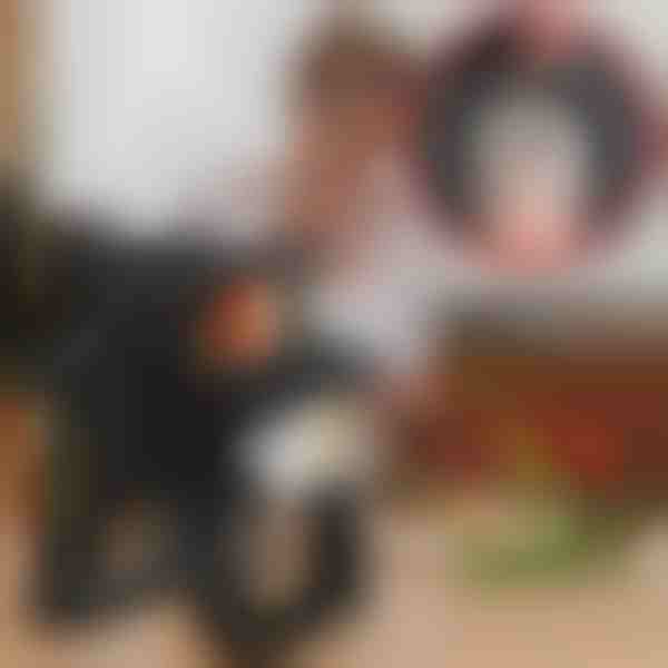 Otočný organizér a 18 kořenek | FERRISPICE