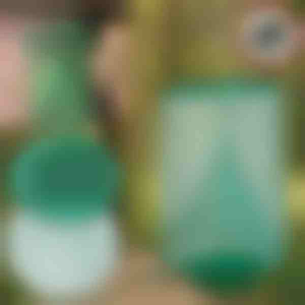 Opakovaně použitelná závěsná past na mouchy a hmyz | INSECTA