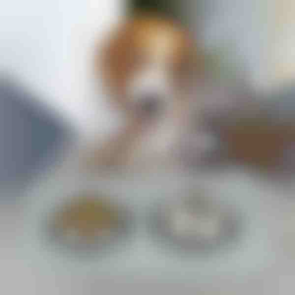 Podložka pro krmení domácích mazlíčků | KIBBLEMAT