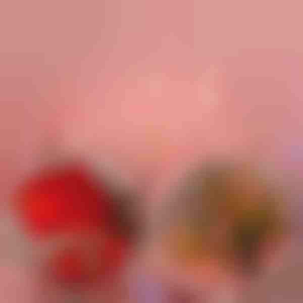 Světelný řetěz LED s růžemi (2 m) | LUMEROSE