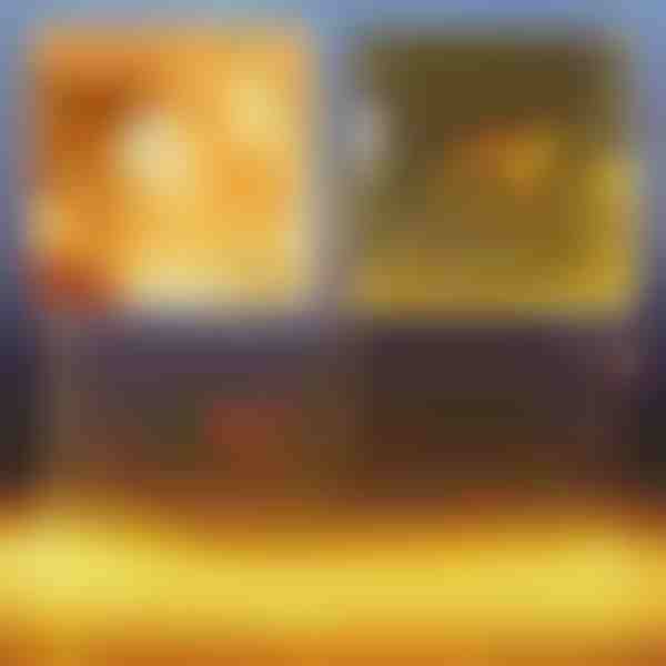 Slavnostní LED světelná síťka | LUMONET