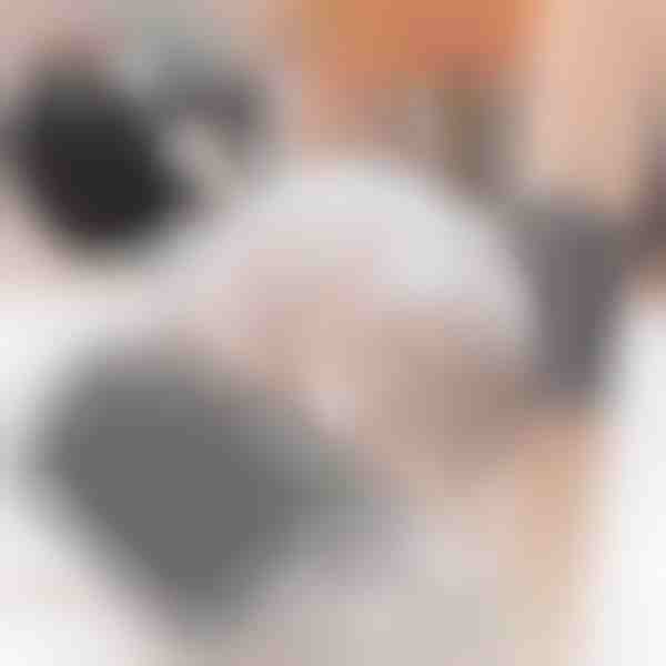 Samopečující strojek pro kočky (2ks) | PURRCORNER