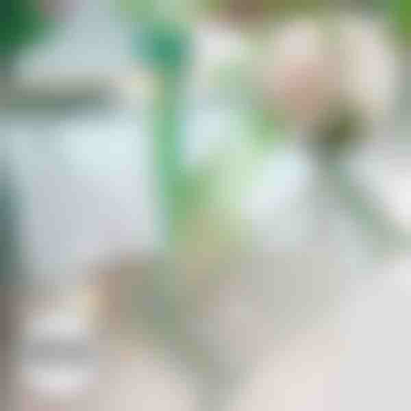 Zarážka pro rostliny proti pádu | ROOTZI