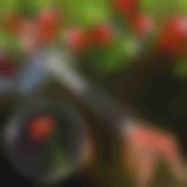 Nůžky na stříhání stromů | TREESNIP