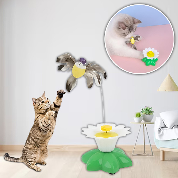 Elektrická hračka pro kočky na dráždění ptáků | BIRDIETOY