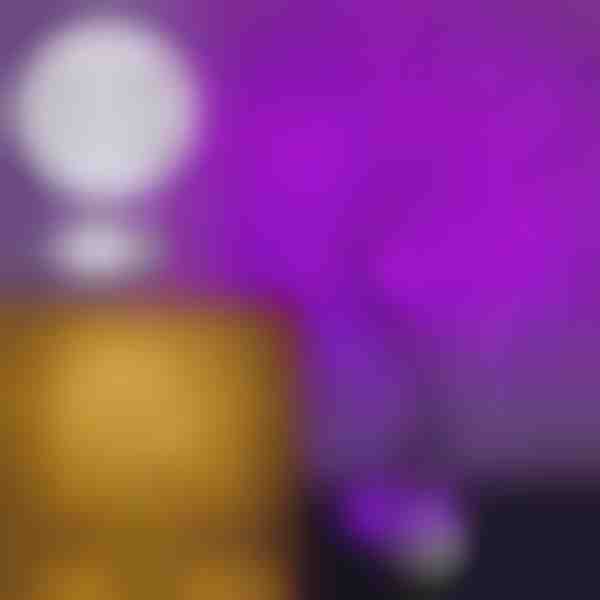 Třpytivý světelný strom | BLISSTREE