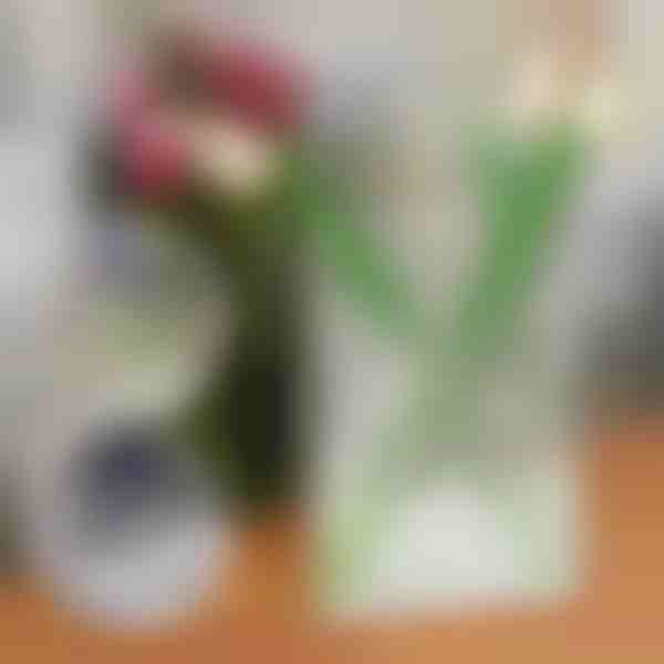 Elegantní váza ve tvaru knihy na květiny | FLOWERFRAME