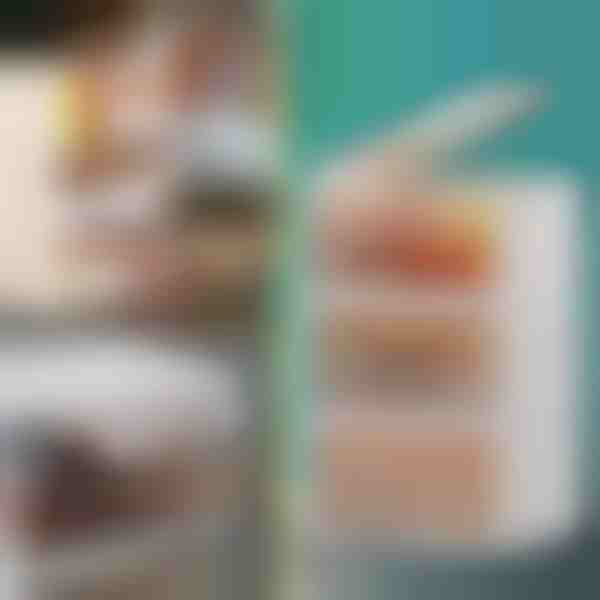 Úložný box s víkem | ORGABOX