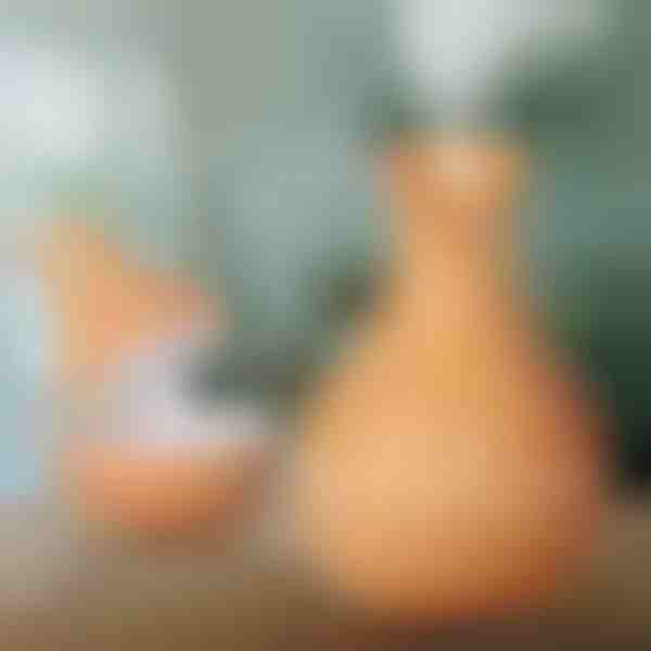 Dřevěný zvlhčovač vzduchu | HUMISTER