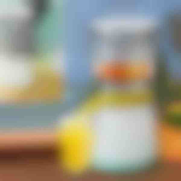 Odšťavňovač ovoce | VITAPRESS