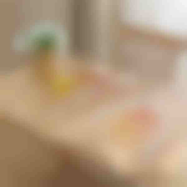 PVC potah na stůl (90x160 cm) | DURACOVER