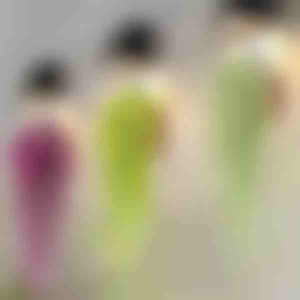 Dekorativní závěsná rostlina | IVYORA