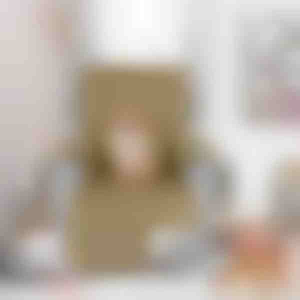 Potah křesla | LUXSIT