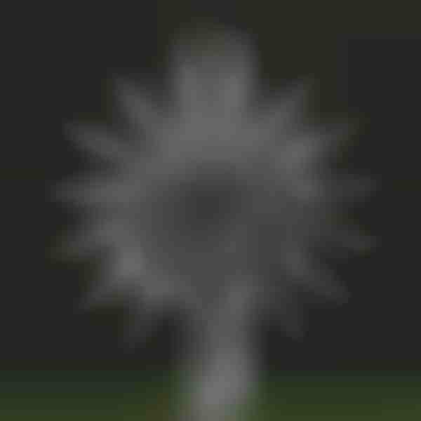 Zahradní kouzelný kinetický větrný mlýn | WINDARA