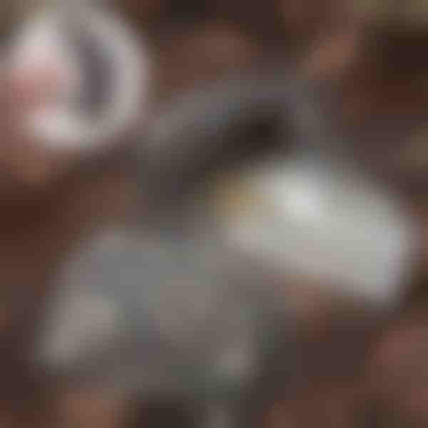 Kámen pro ukrytí klíčů | KEYBLEND