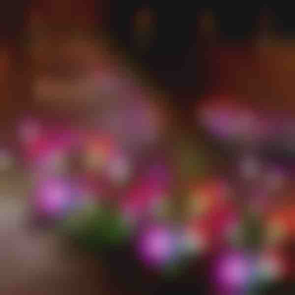 Solární zahradní květinová světla | BLOSSUN