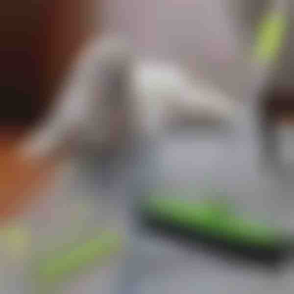 Mop na odstraňování zvířecích chlupů | PAWMOP