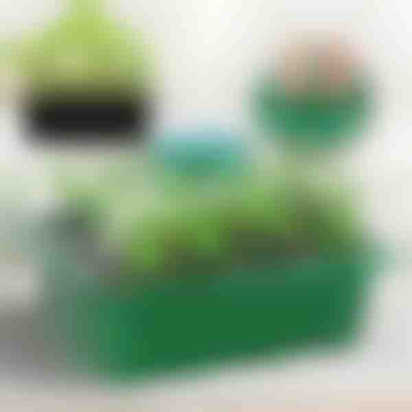 Miska na pěstování sazenic s přihrádkami | PLANTURKA