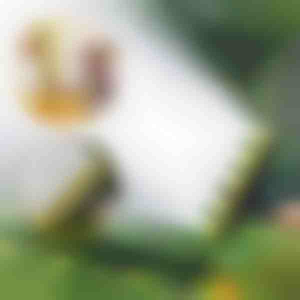 Vícehlavý hadicový zavlažovač | SPRAYMASTER