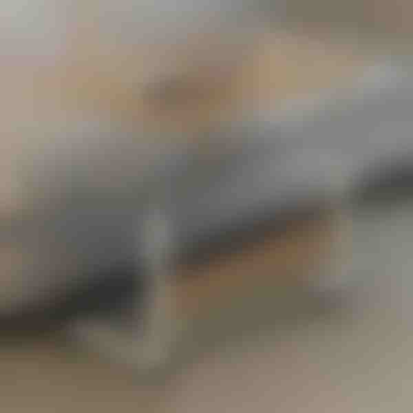 Přenosný stůl | EVOSTUL