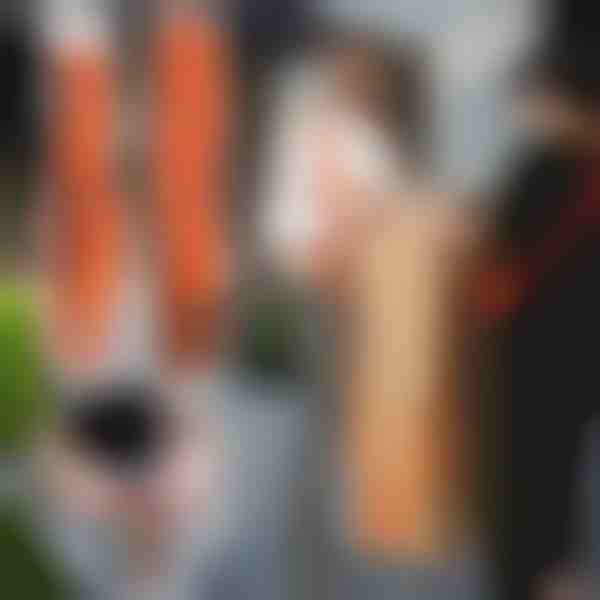 Zvedací a stěhovací popruhy (2ks) | DUOLIFTERS