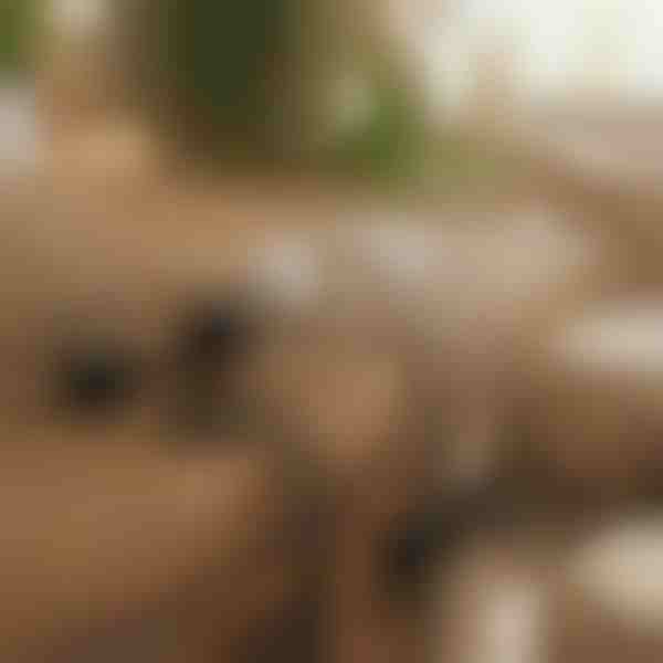 Magnetický samolepicí organizér kabelů | CABLIP