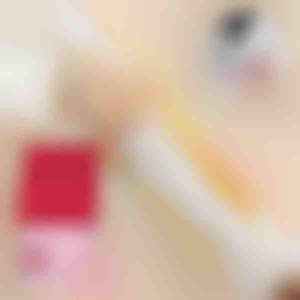 Ubrousky na odstranění skvrn (20 ks) | STAINIX